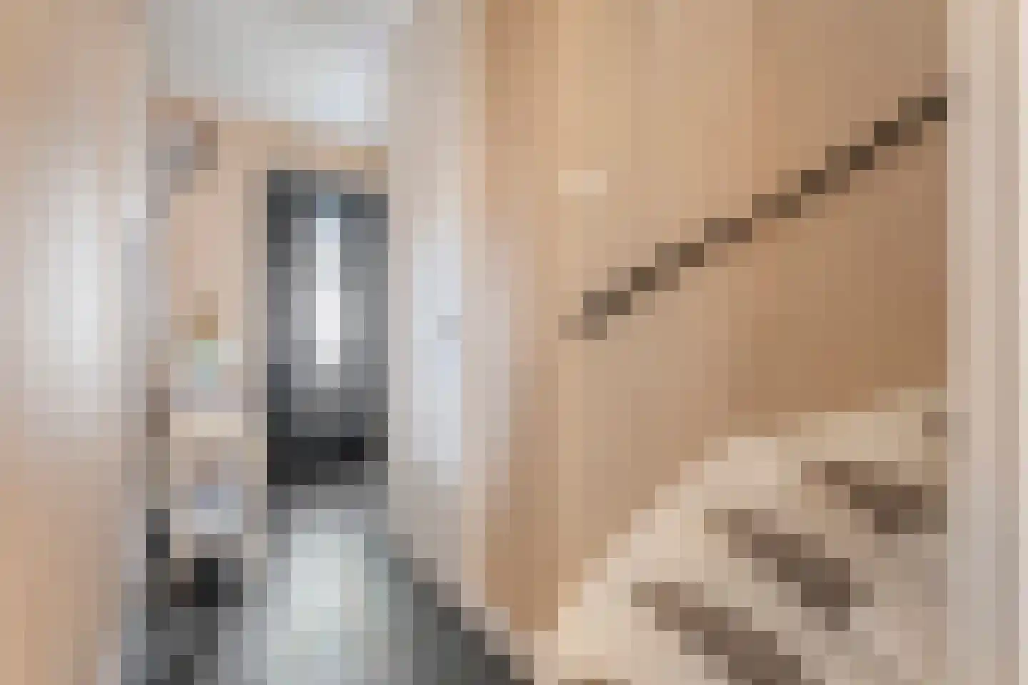 Paardebloem 21 Rijssen thumbnail 11