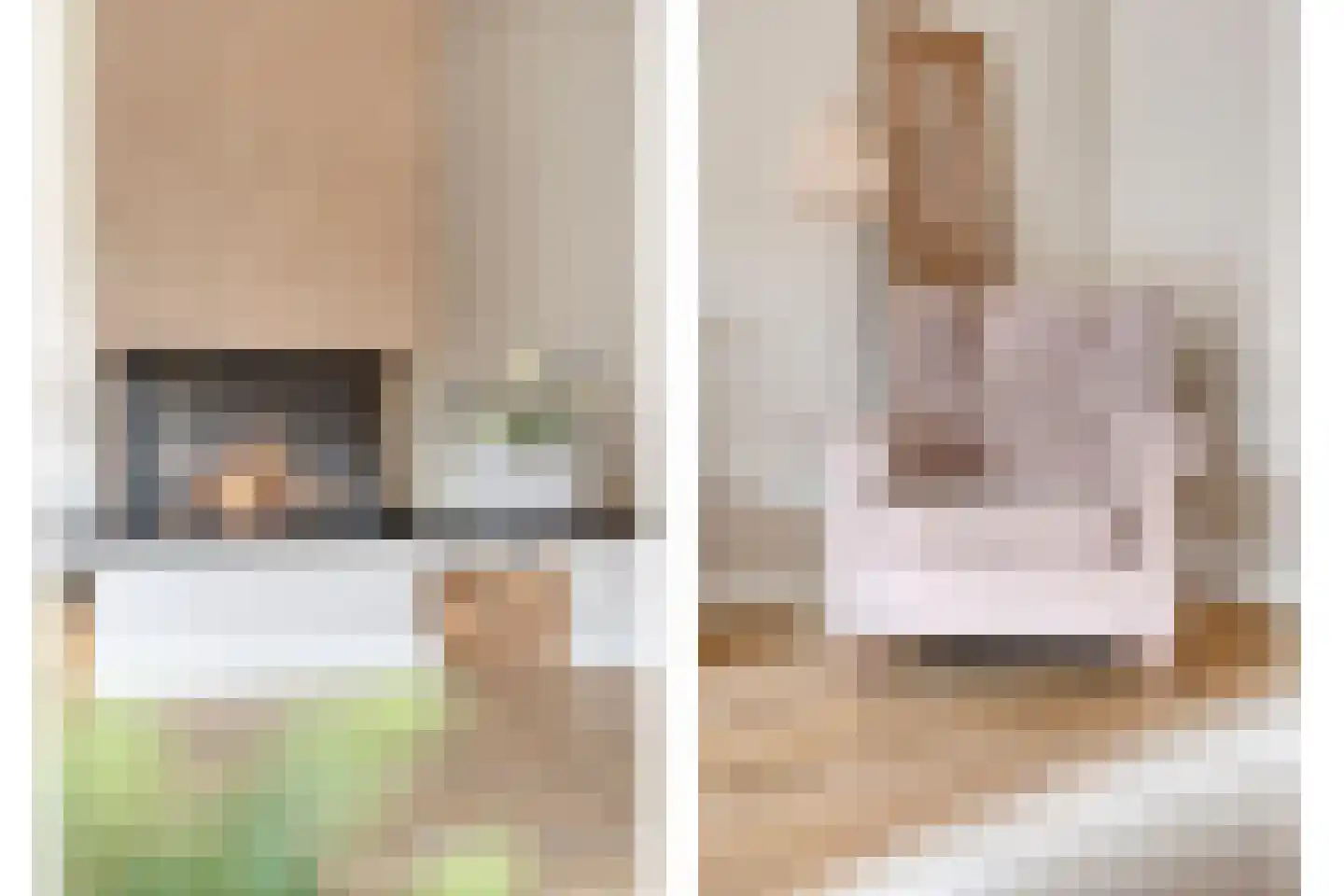 Paardebloem 21 Rijssen thumbnail 15