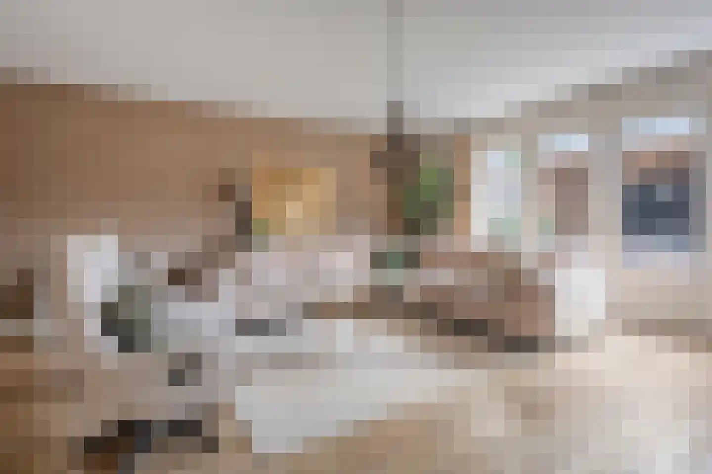 Paardebloem 21 Rijssen thumbnail 16