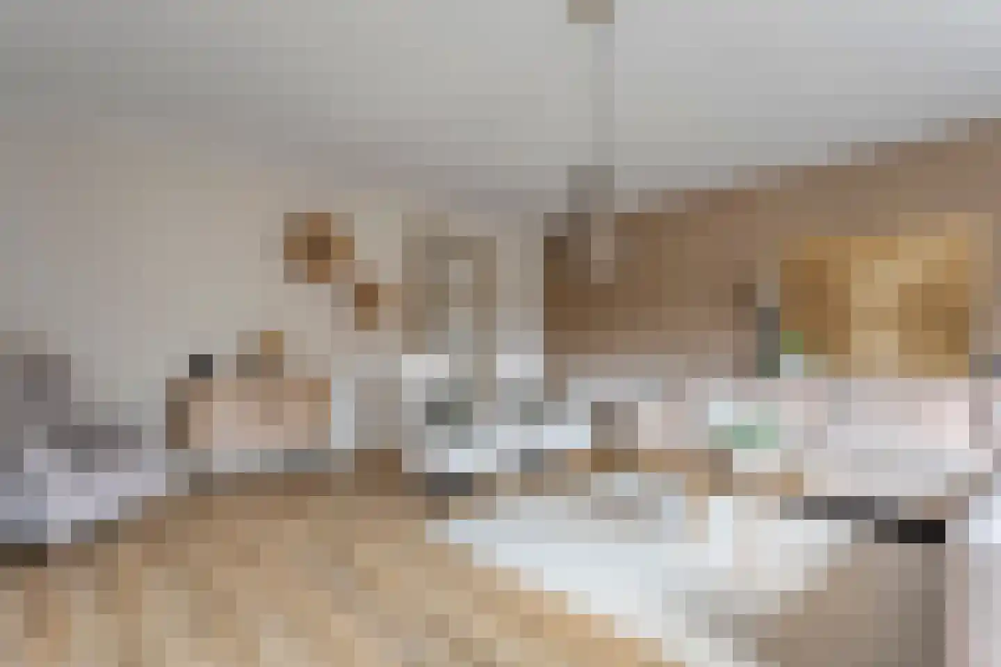 Paardebloem 21 Rijssen thumbnail 18