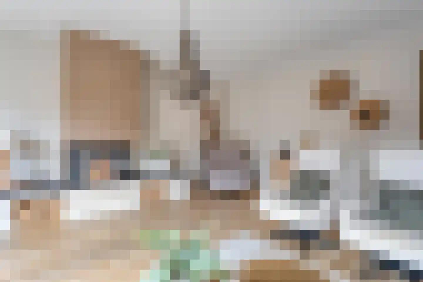 Paardebloem 21 Rijssen thumbnail 19