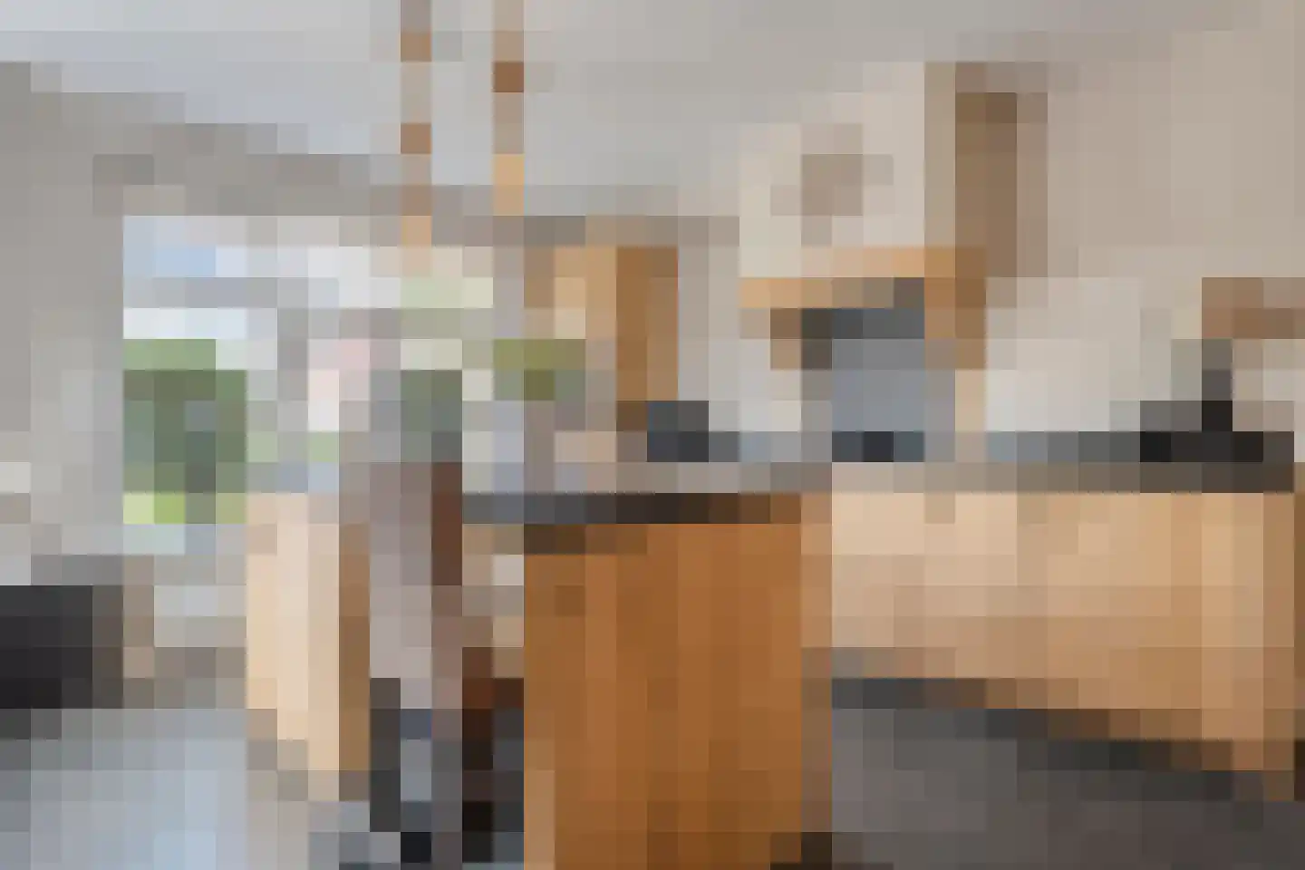 Paardebloem 21 Rijssen thumbnail 23