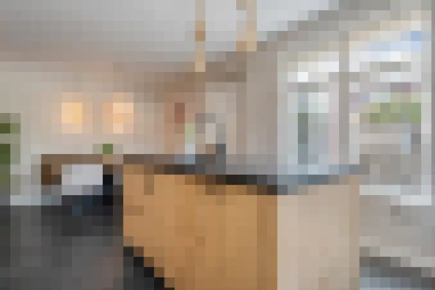 Paardebloem 21 Rijssen thumbnail 24