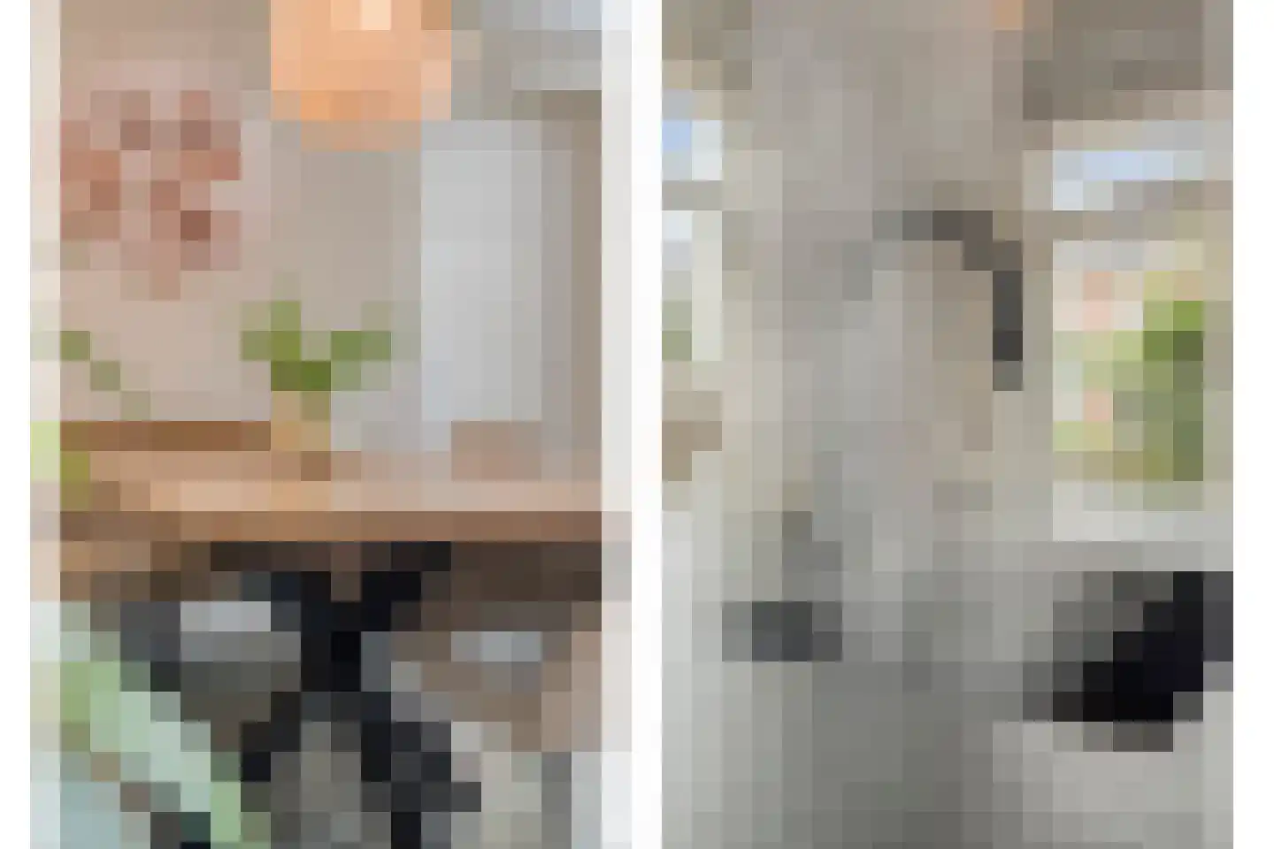 Paardebloem 21 Rijssen thumbnail 25