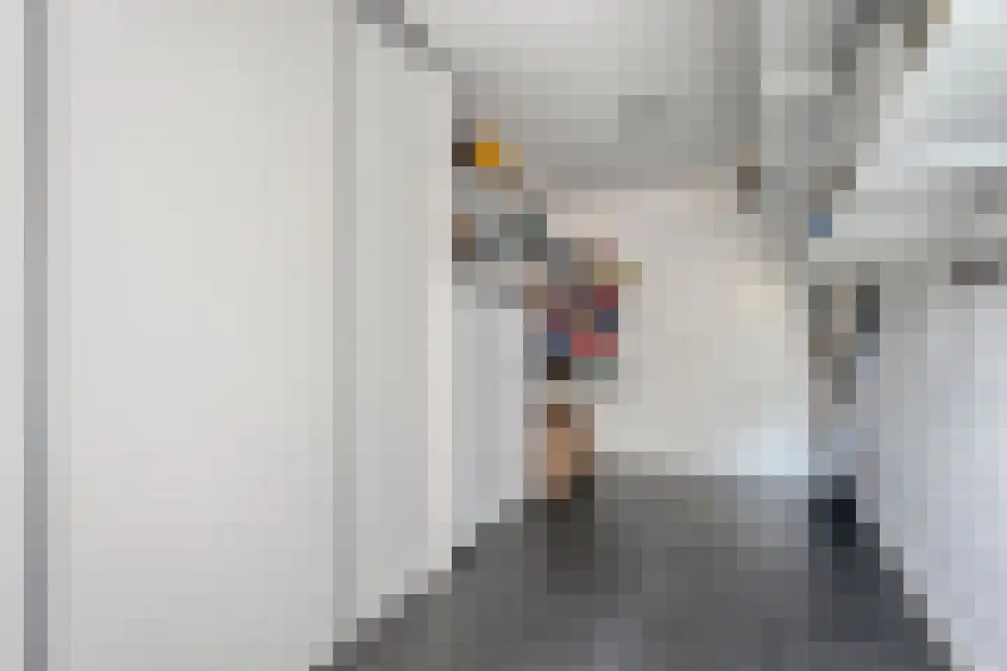 Paardebloem 21 Rijssen thumbnail 30