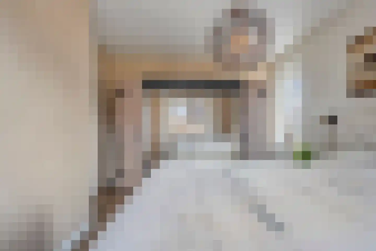 Paardebloem 21 Rijssen thumbnail 34