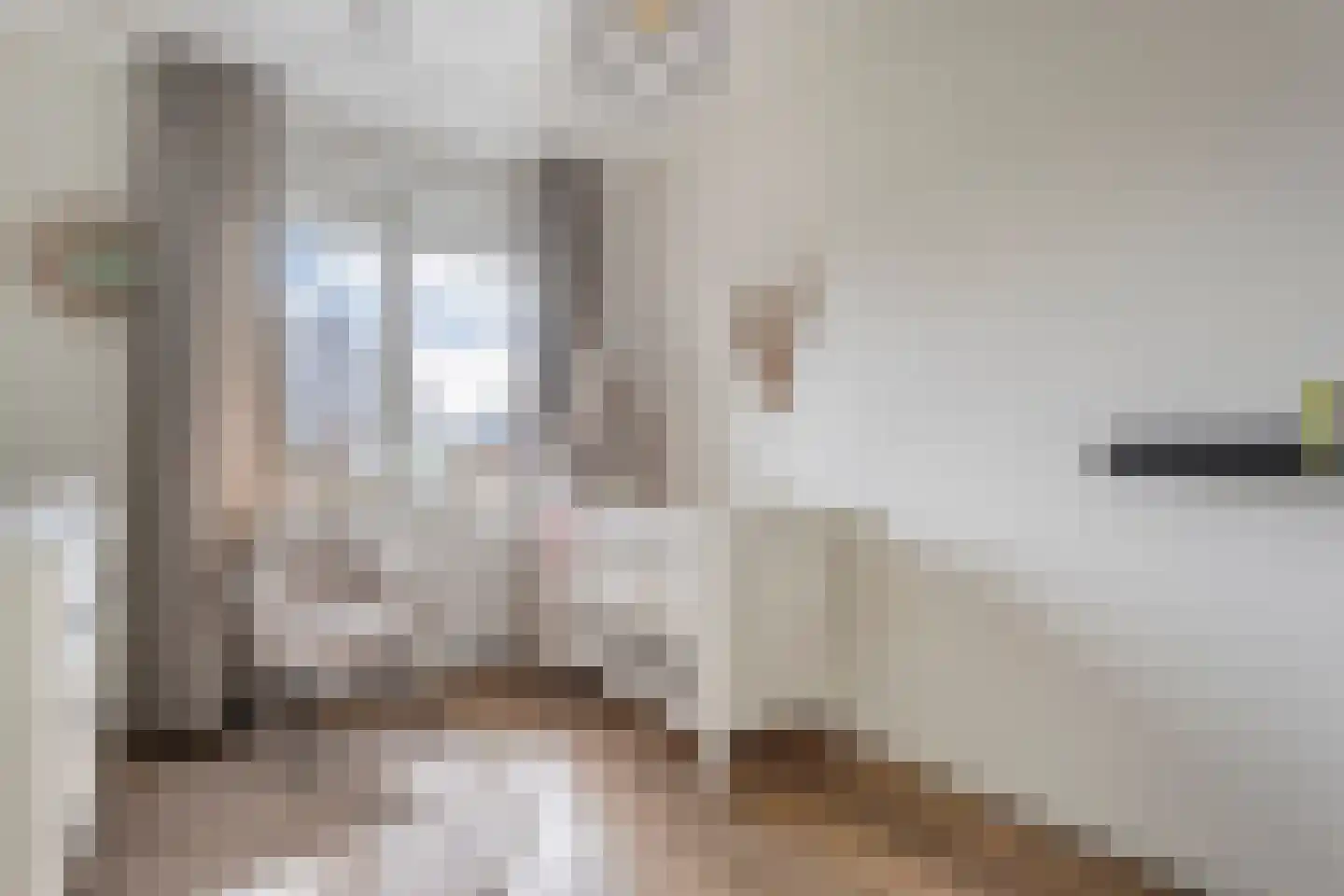 Paardebloem 21 Rijssen thumbnail 38
