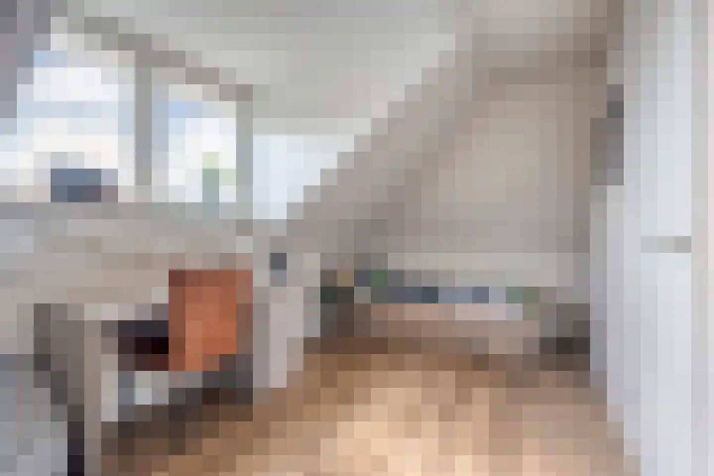 Paardebloem 21 Rijssen thumbnail 44