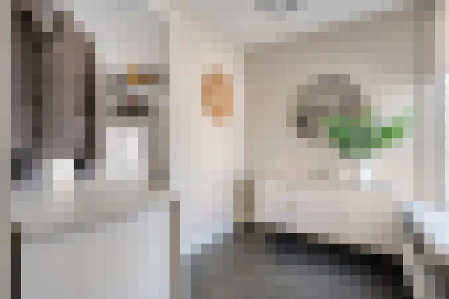 Paardebloem 21 Rijssen thumbnail 48