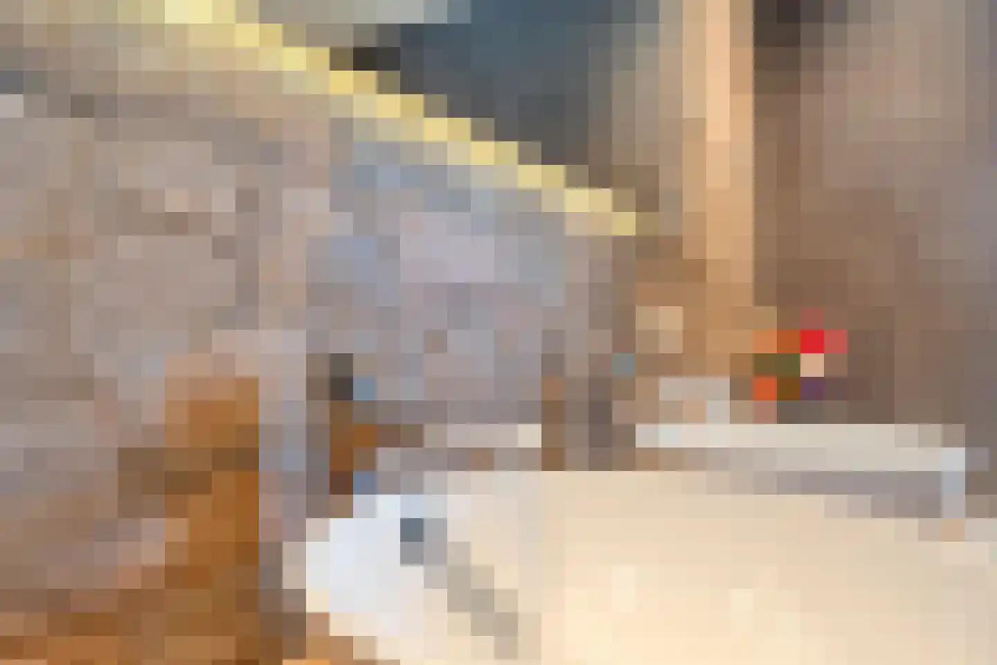 Paardebloem 21 Rijssen thumbnail 5