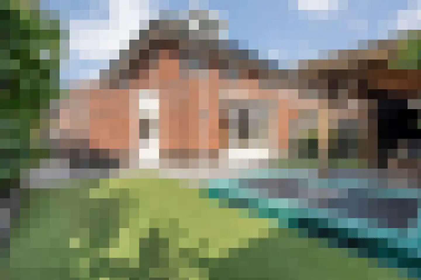 Paardebloem 21 Rijssen thumbnail 50