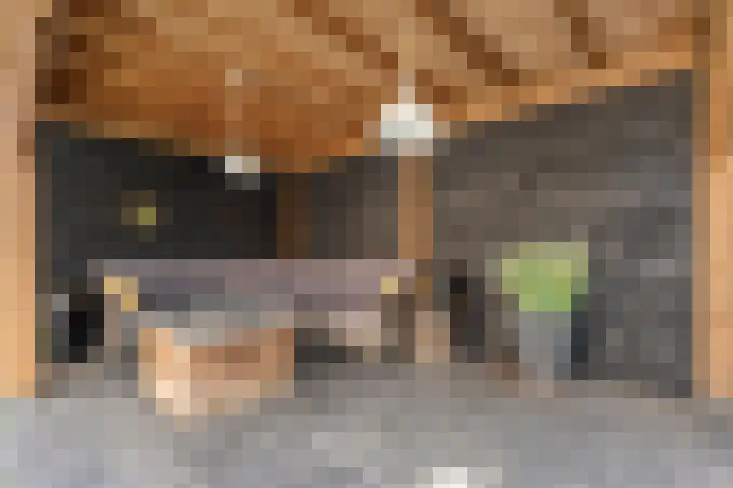 Paardebloem 21 Rijssen thumbnail 52