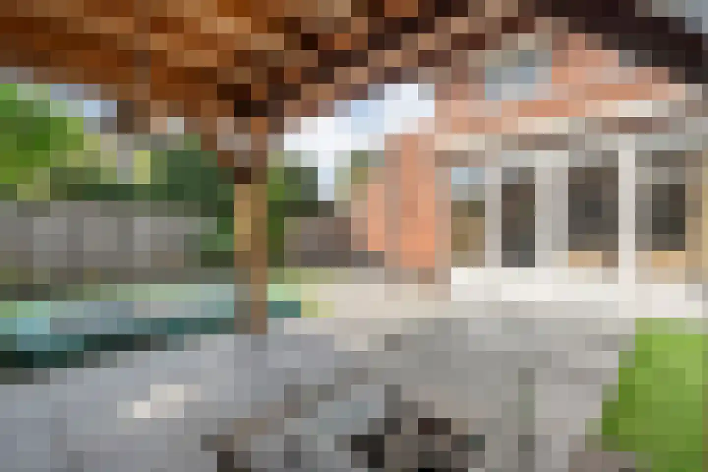 Paardebloem 21 Rijssen thumbnail 53