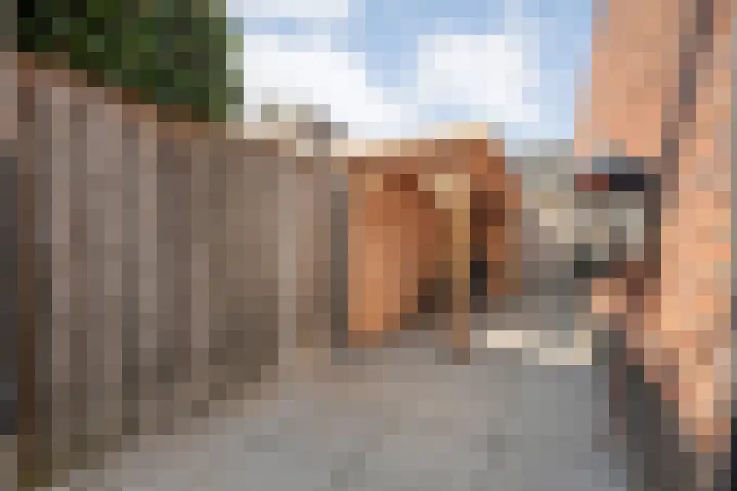 Paardebloem 21 Rijssen thumbnail 54
