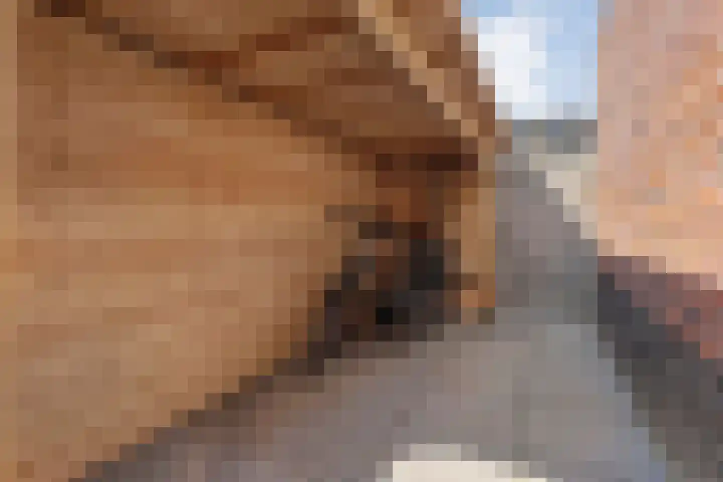 Paardebloem 21 Rijssen thumbnail 55