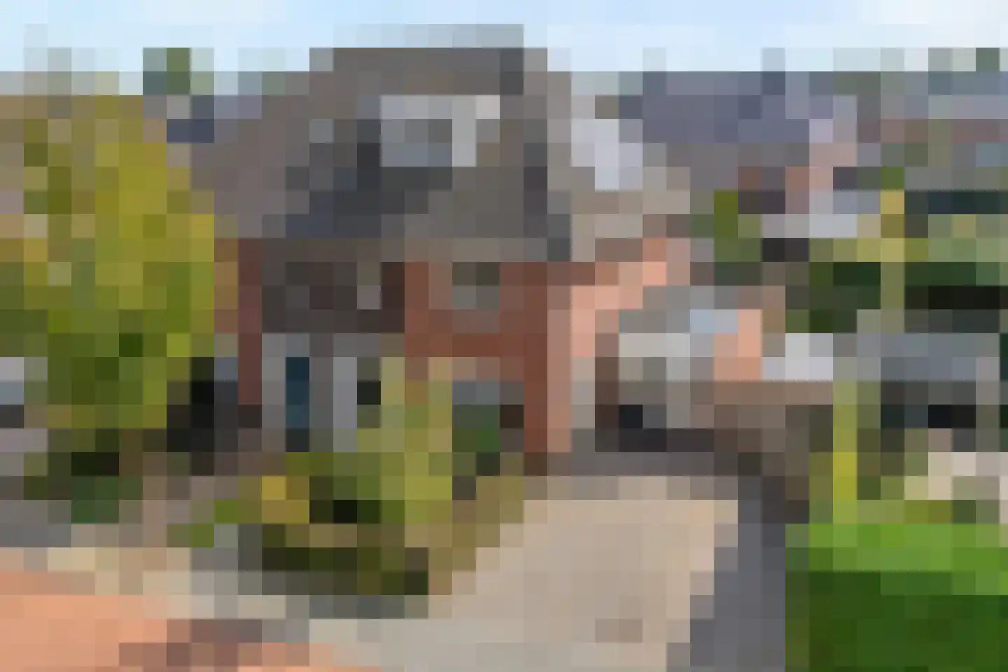 Paardebloem 21 Rijssen thumbnail 56