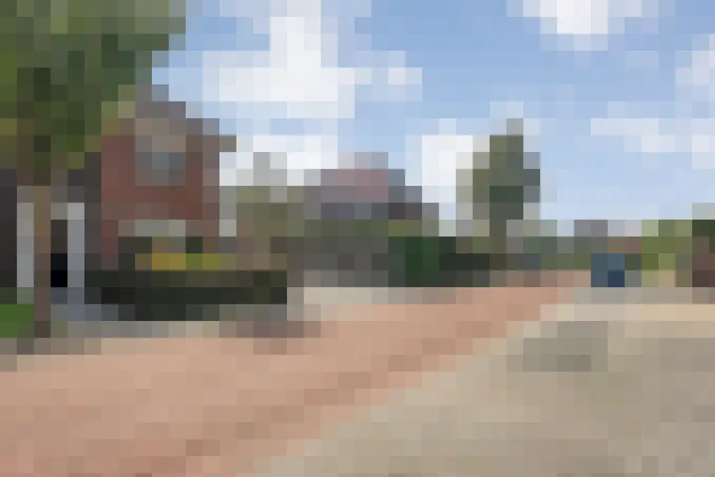 Paardebloem 21 Rijssen thumbnail 6