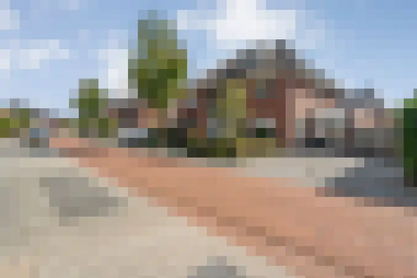 Paardebloem 21 Rijssen thumbnail 7