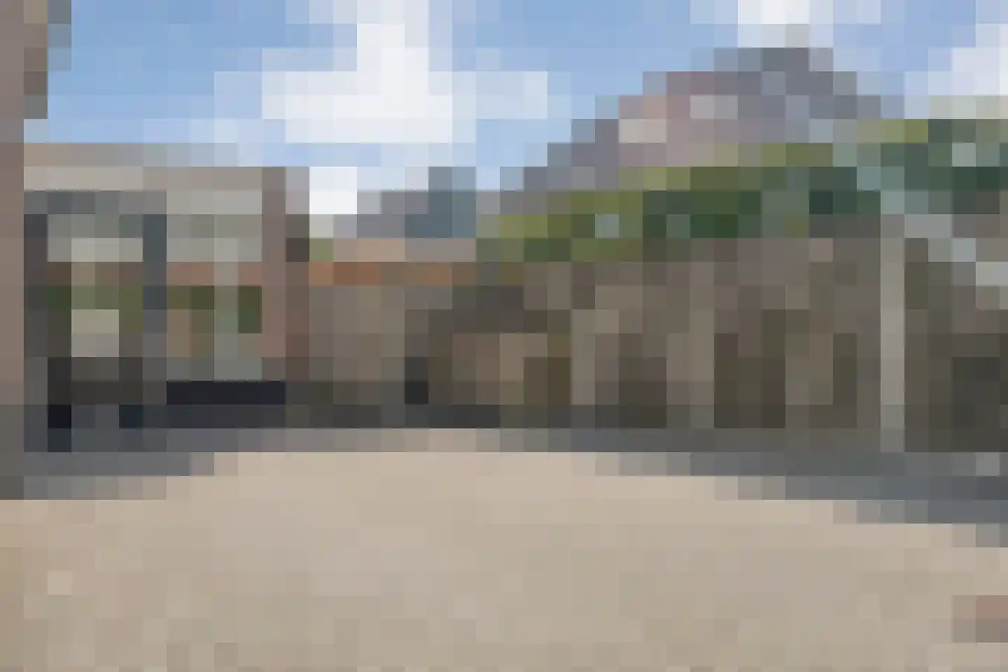 Paardebloem 21 Rijssen thumbnail 9