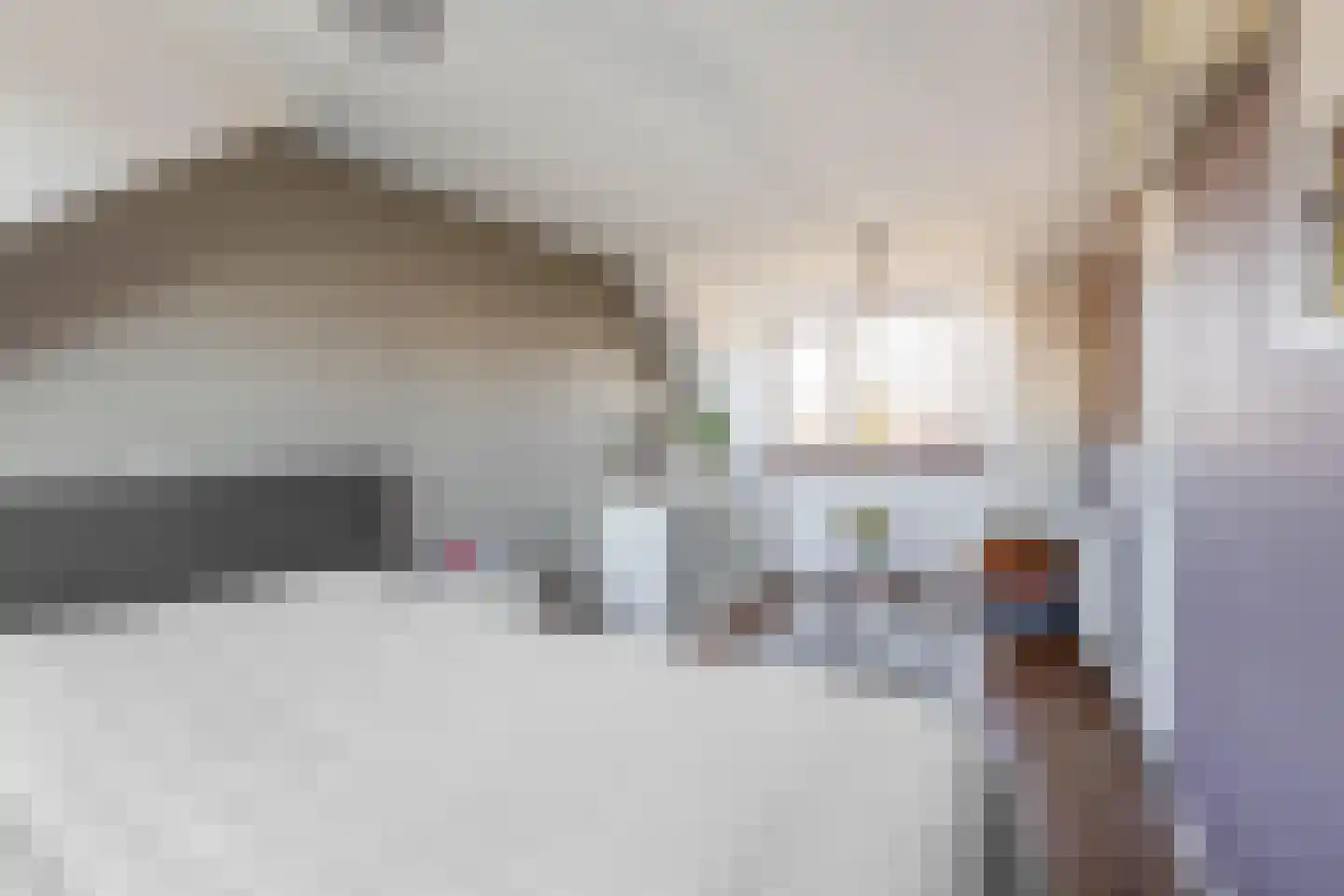 Paardebloem 38 Kampen thumbnail 20