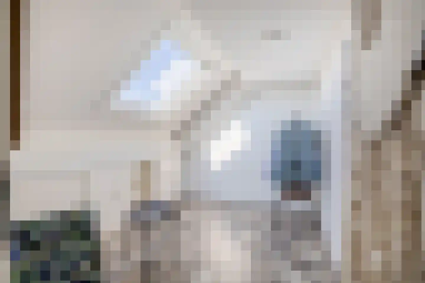 Paardebloem 38 Kampen thumbnail 34