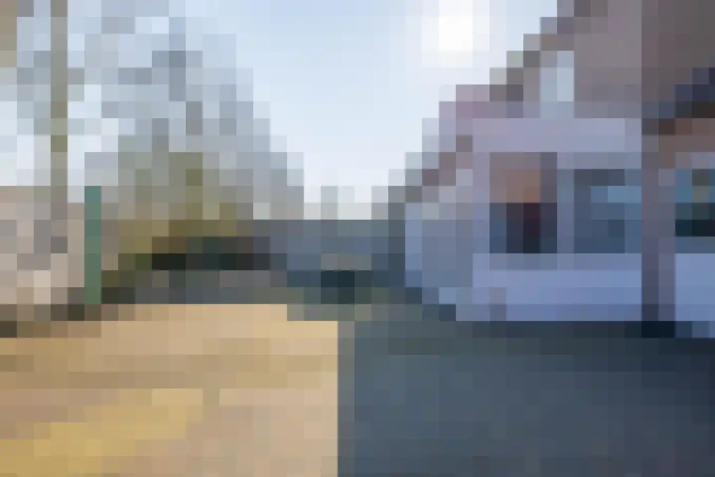 Paardebloem 38 Kampen thumbnail 38
