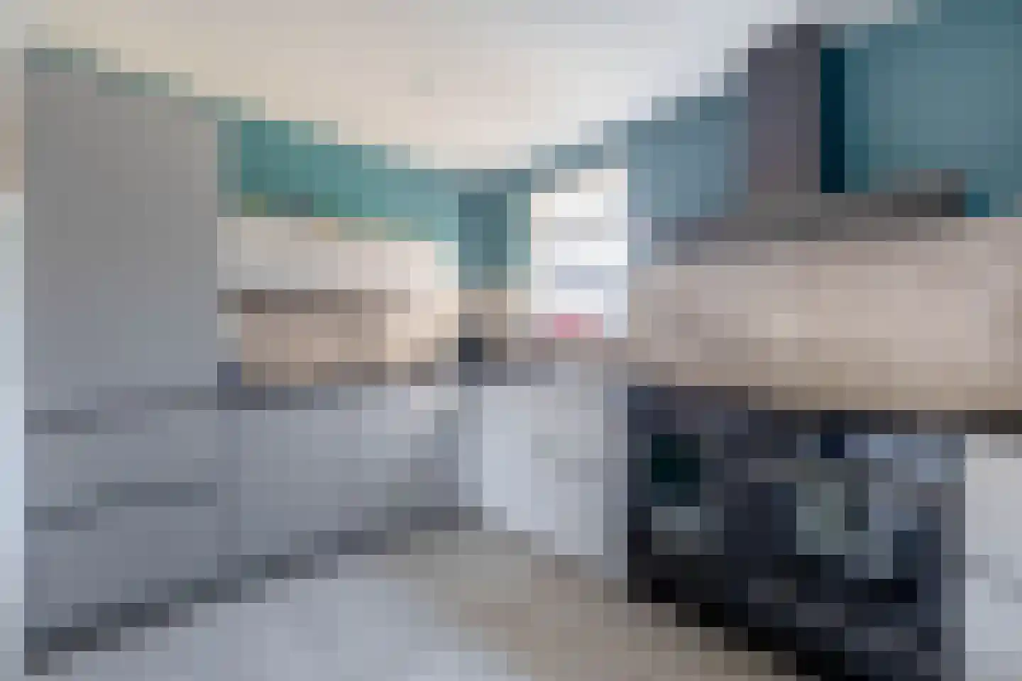 Paardebloem 38 Kampen thumbnail 4