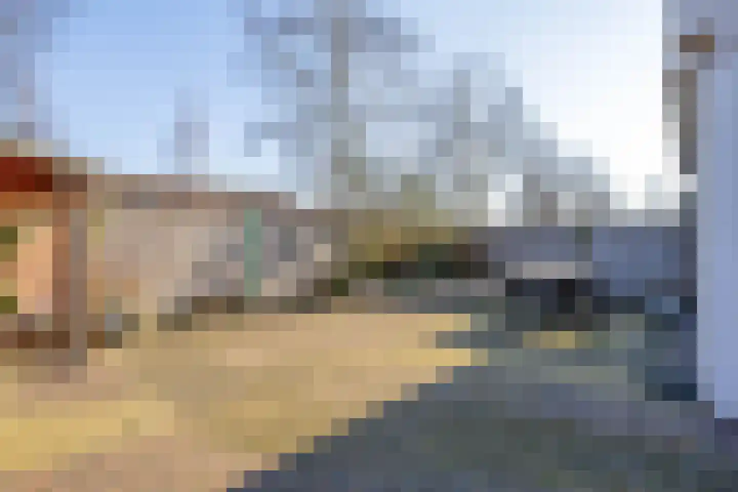 Paardebloem 38 Kampen thumbnail 41