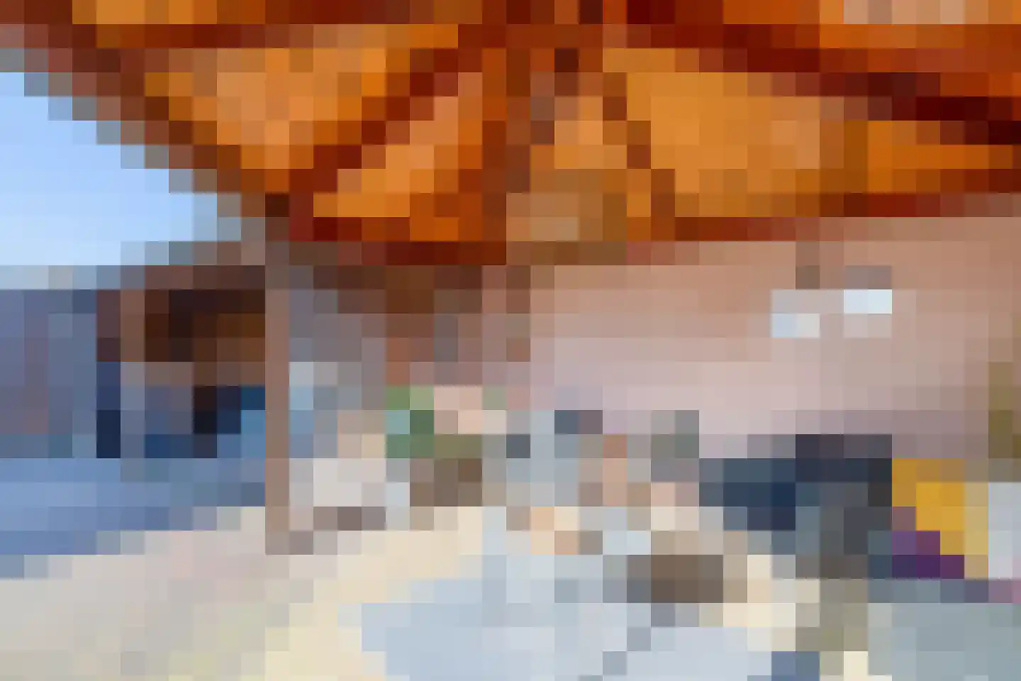 Paardebloem 38 Kampen thumbnail 43
