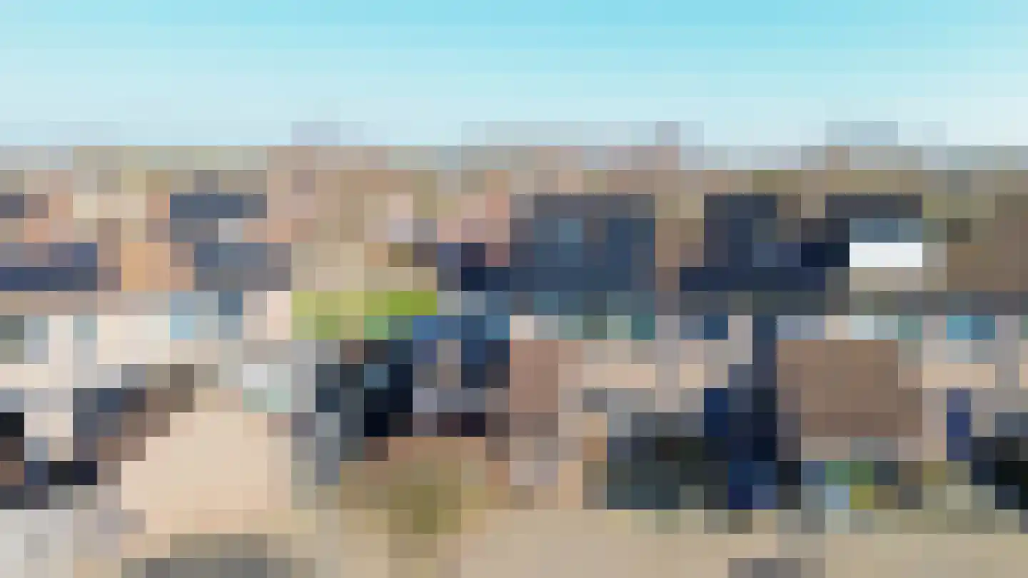 Paardebloem 38 Kampen thumbnail 47