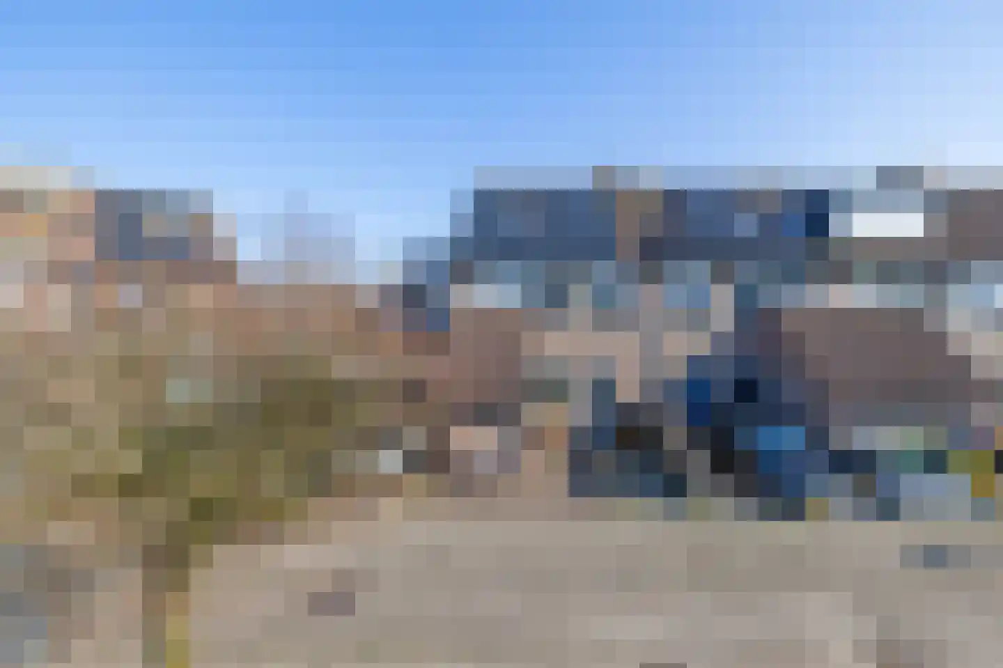 Paardebloem 38 Kampen thumbnail 48