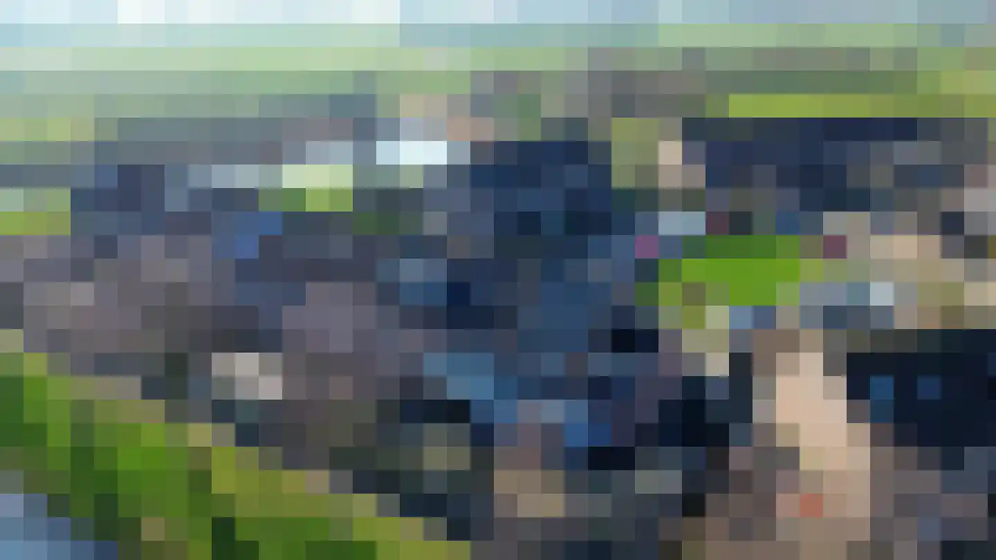 Paardebloem 38 Kampen thumbnail 52