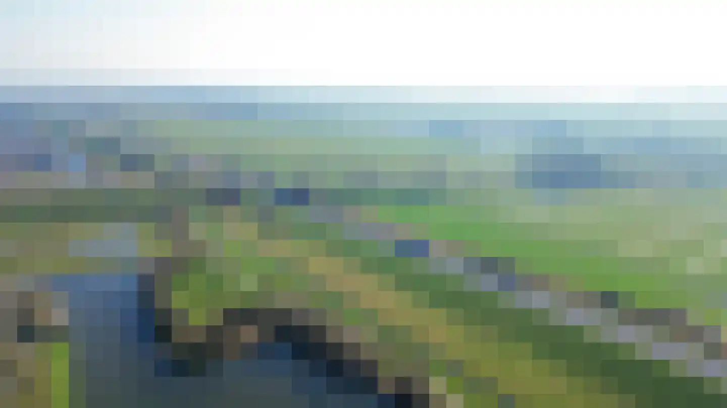 Paardebloem 38 Kampen thumbnail 53