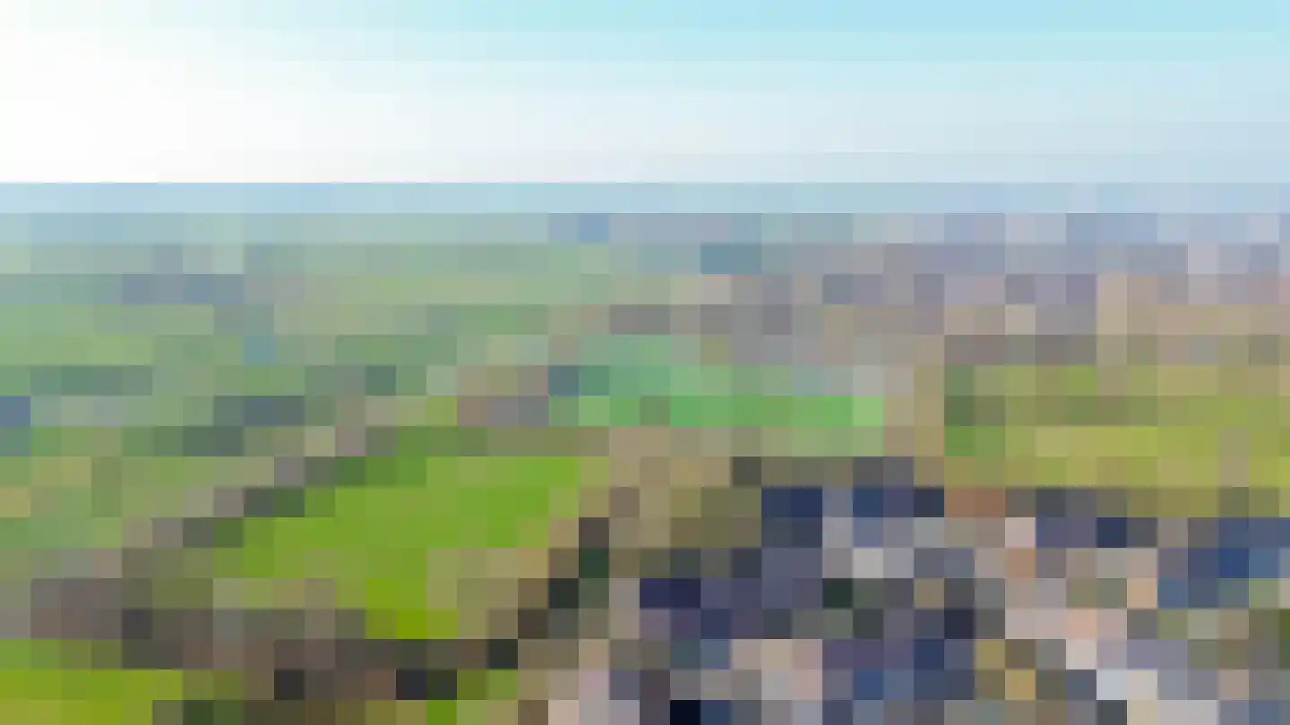 Paardebloem 38 Kampen thumbnail 55