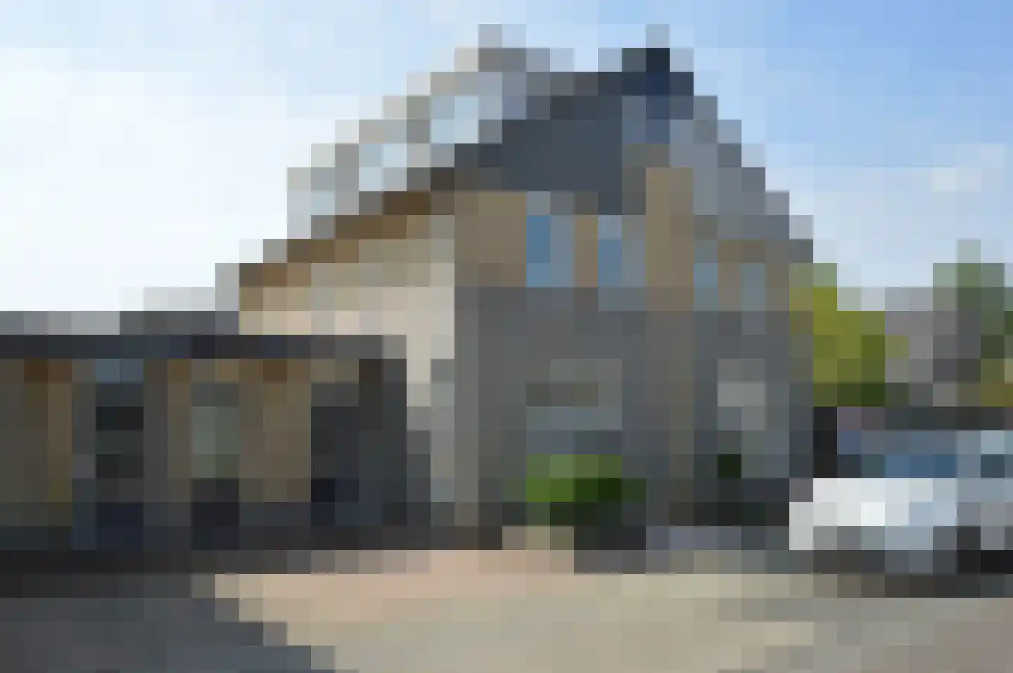 Paardebloem 4 Deurne