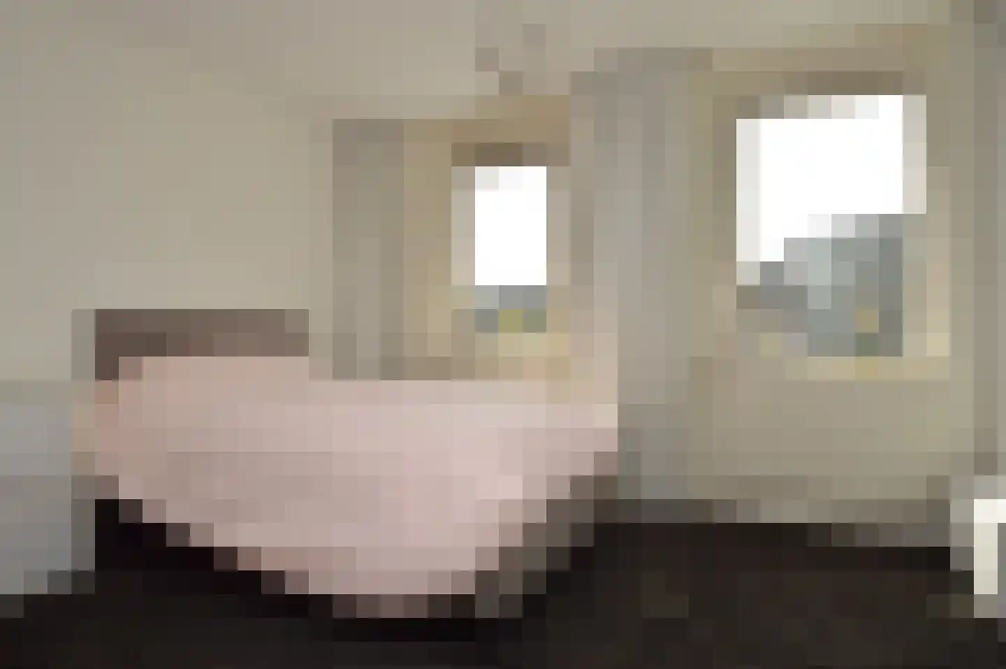 Paardebloem 4 Deurne thumbnail 11