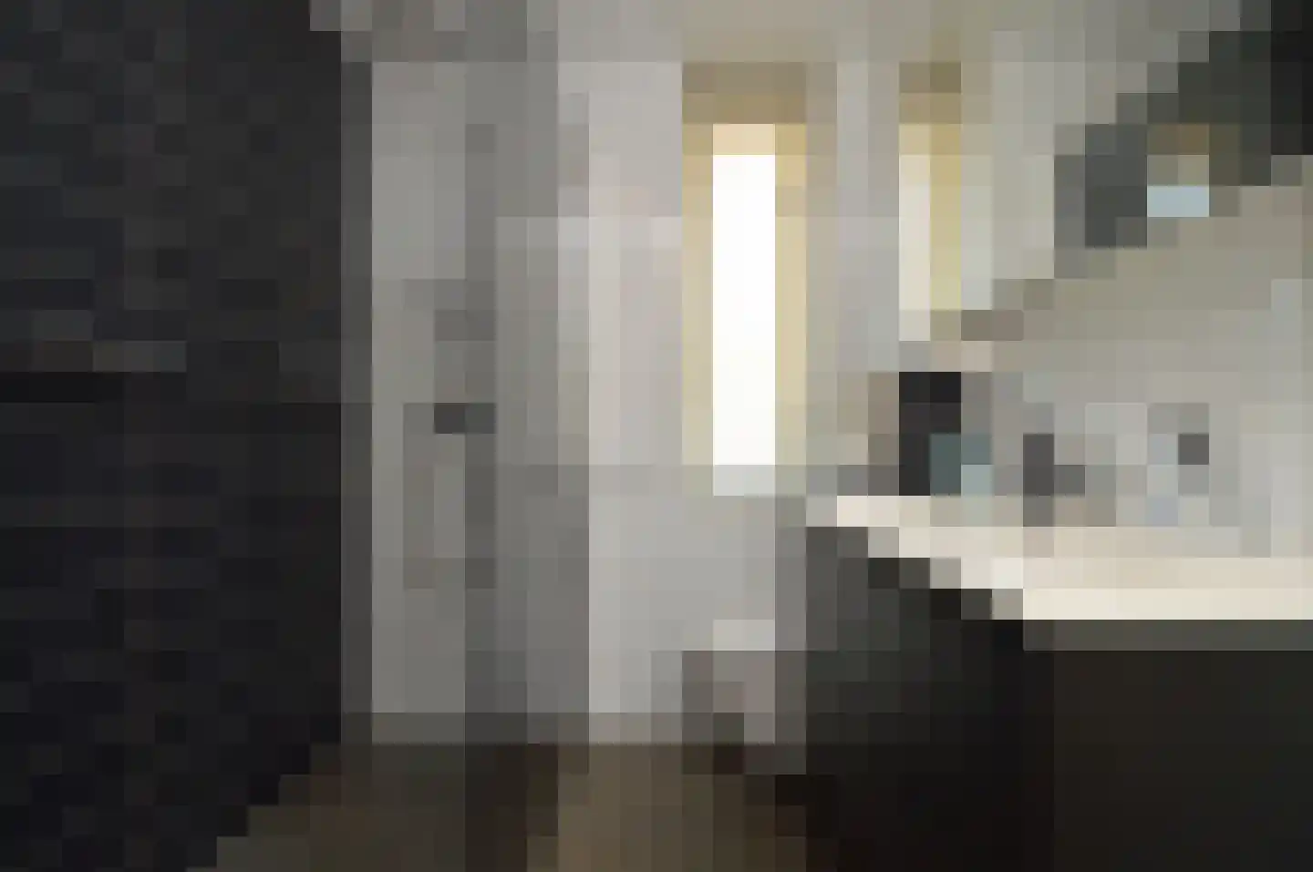 Paardebloem 4 Deurne thumbnail 13