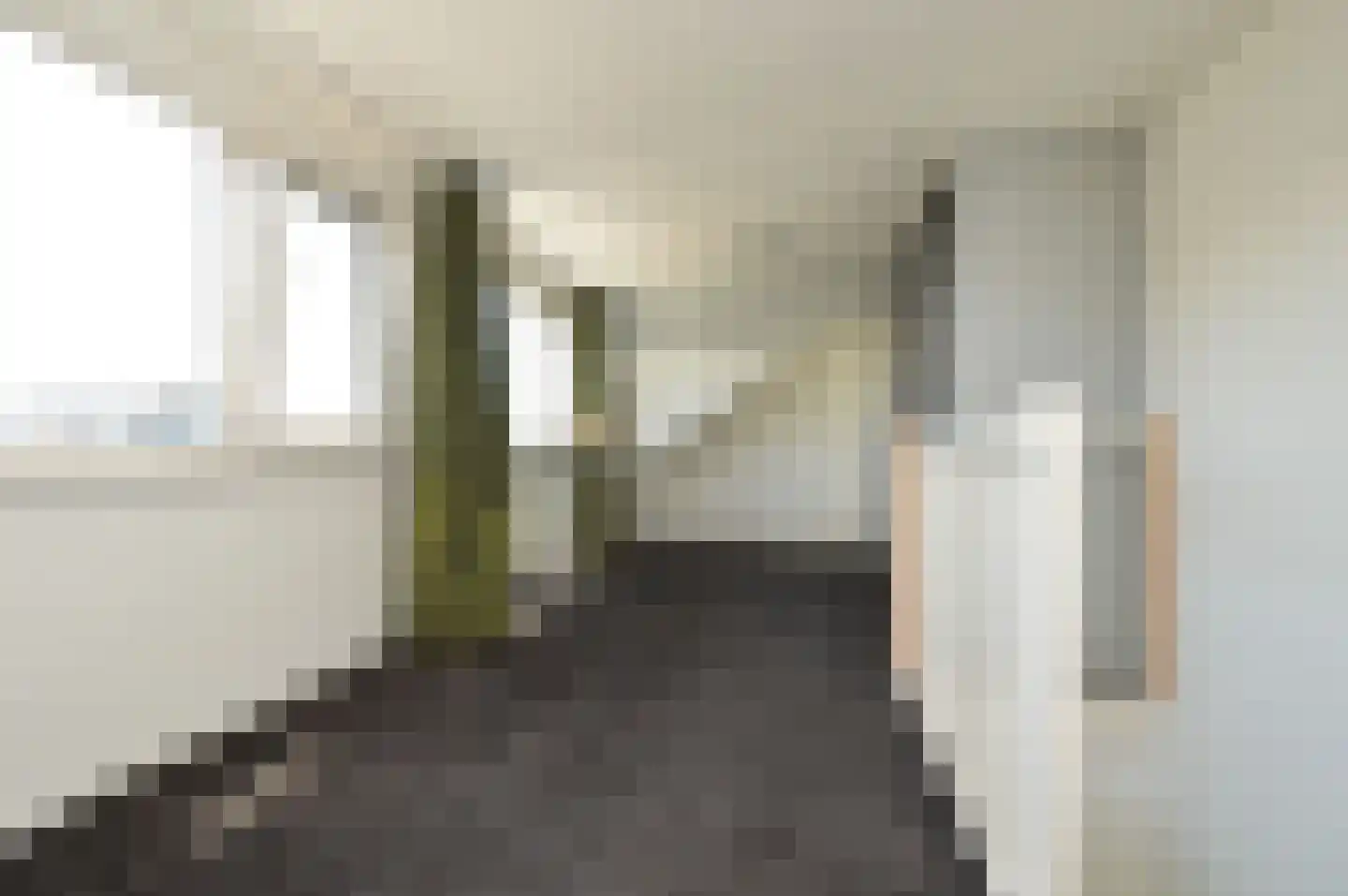 Paardebloem 4 Deurne thumbnail 14