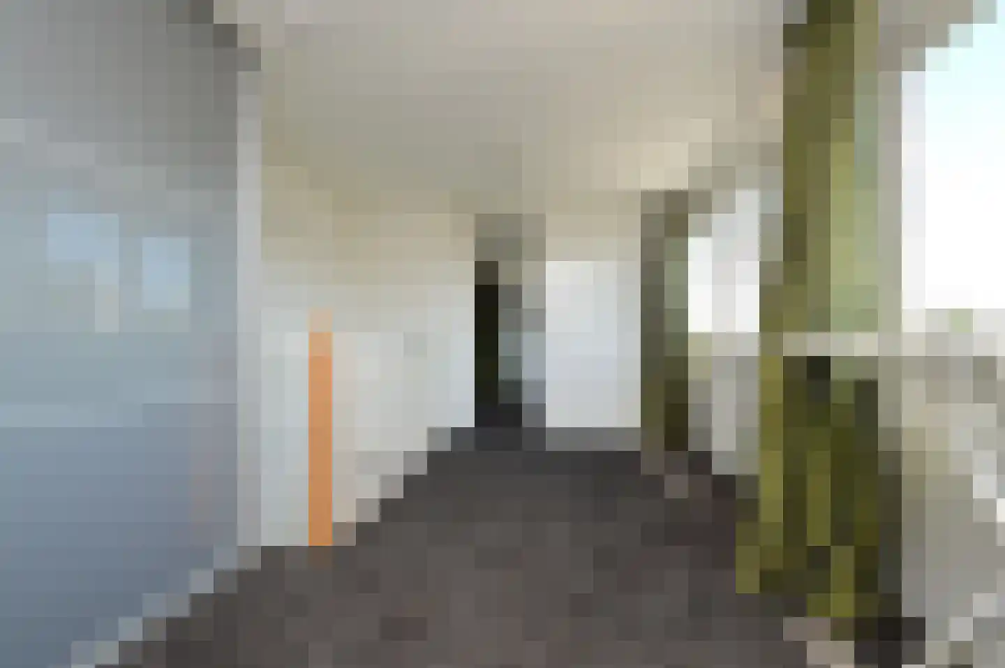 Paardebloem 4 Deurne thumbnail 15