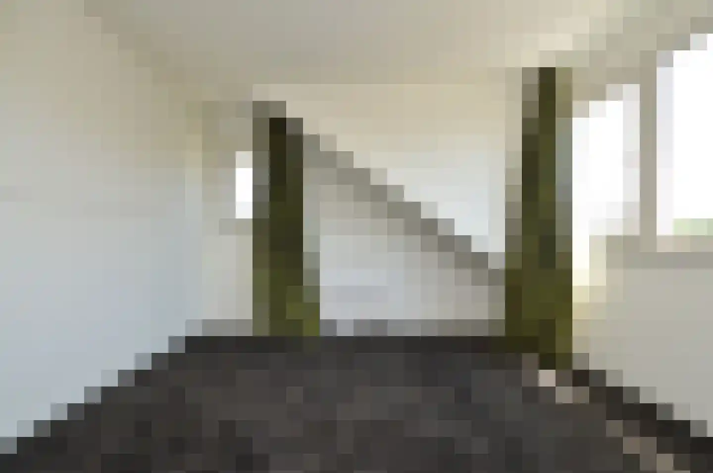 Paardebloem 4 Deurne thumbnail 16