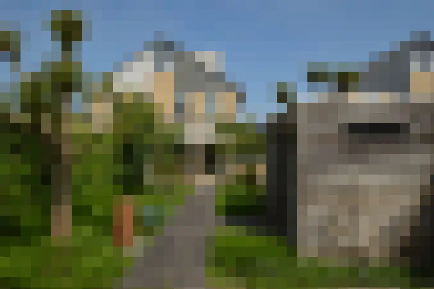 Paardebloem 4 Deurne thumbnail 17