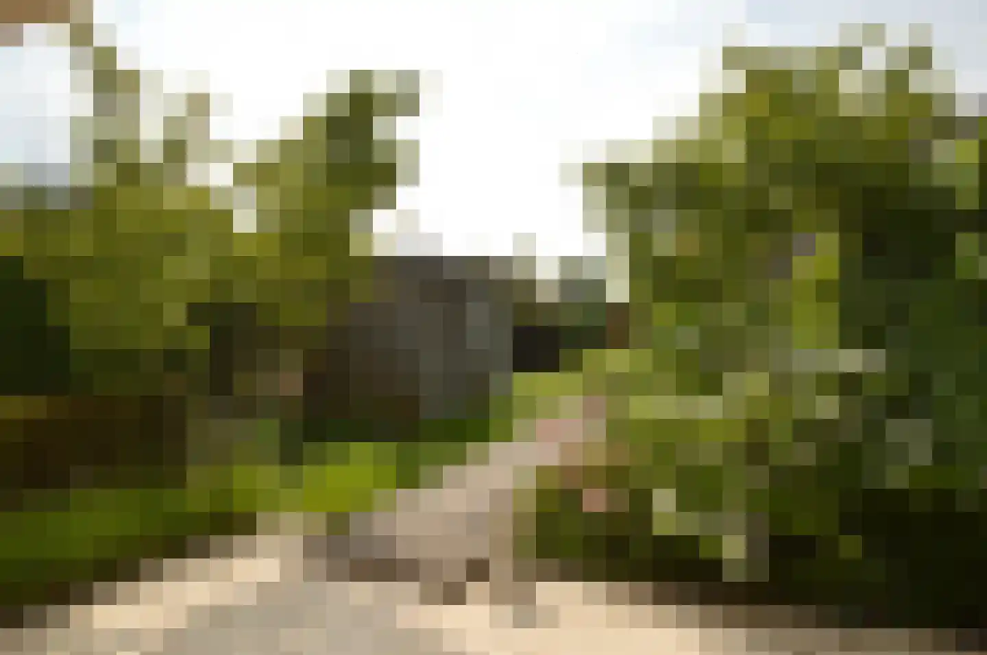 Paardebloem 4 Deurne thumbnail 18
