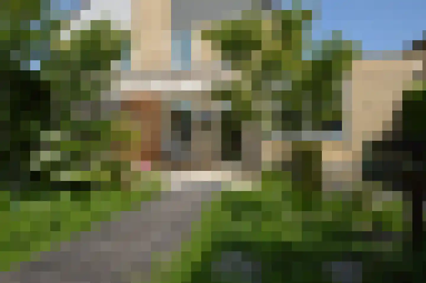 Paardebloem 4 Deurne thumbnail 19