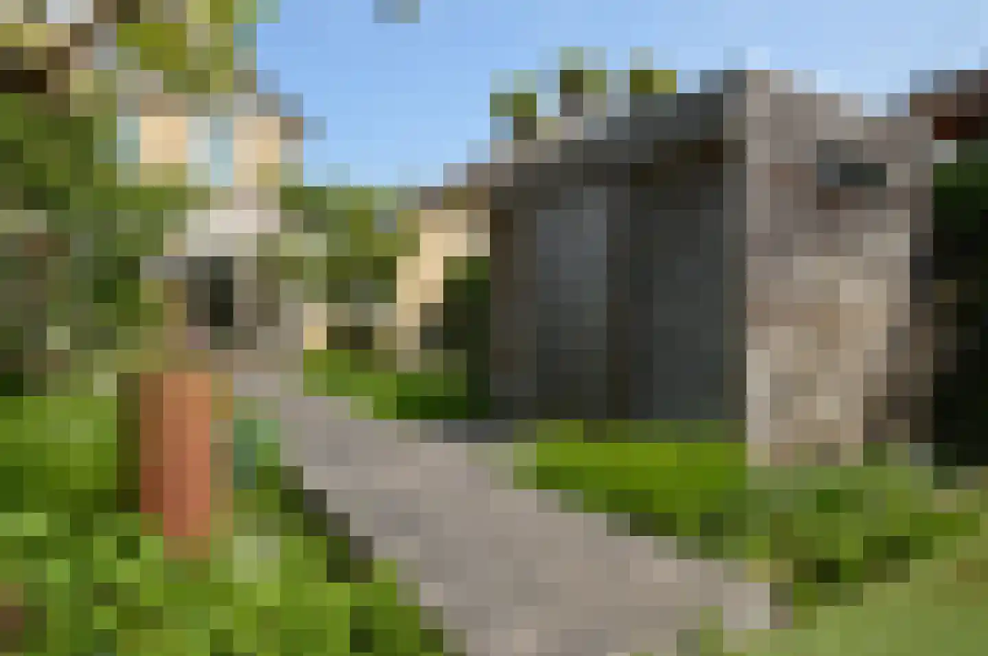 Paardebloem 4 Deurne thumbnail 20