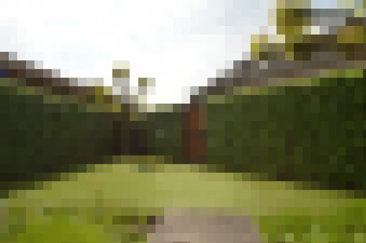 Paardebloem 4 Deurne thumbnail 21