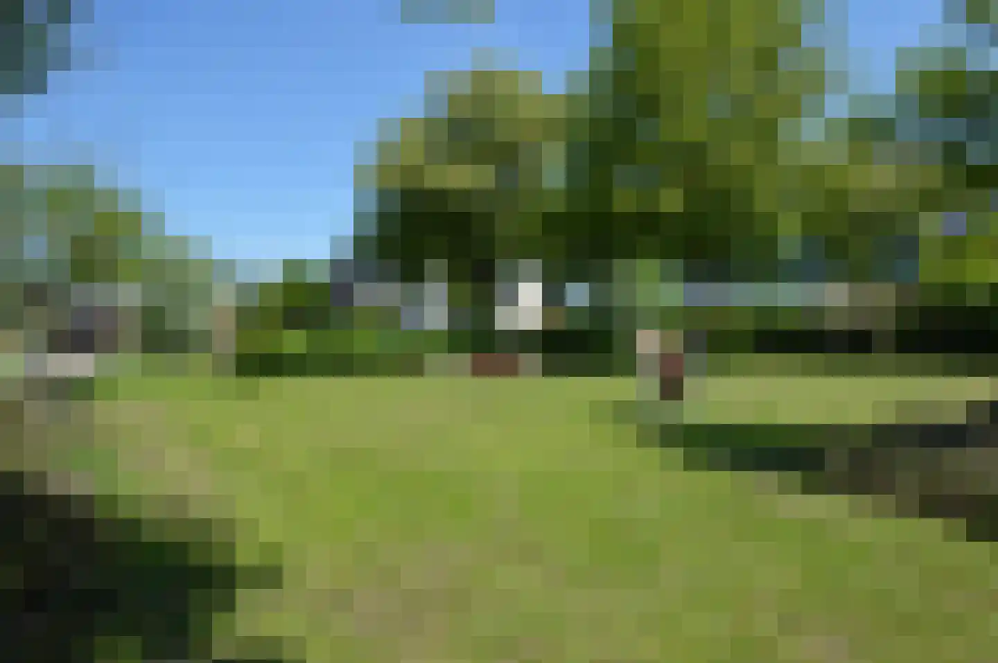 Paardebloem 4 Deurne thumbnail 23