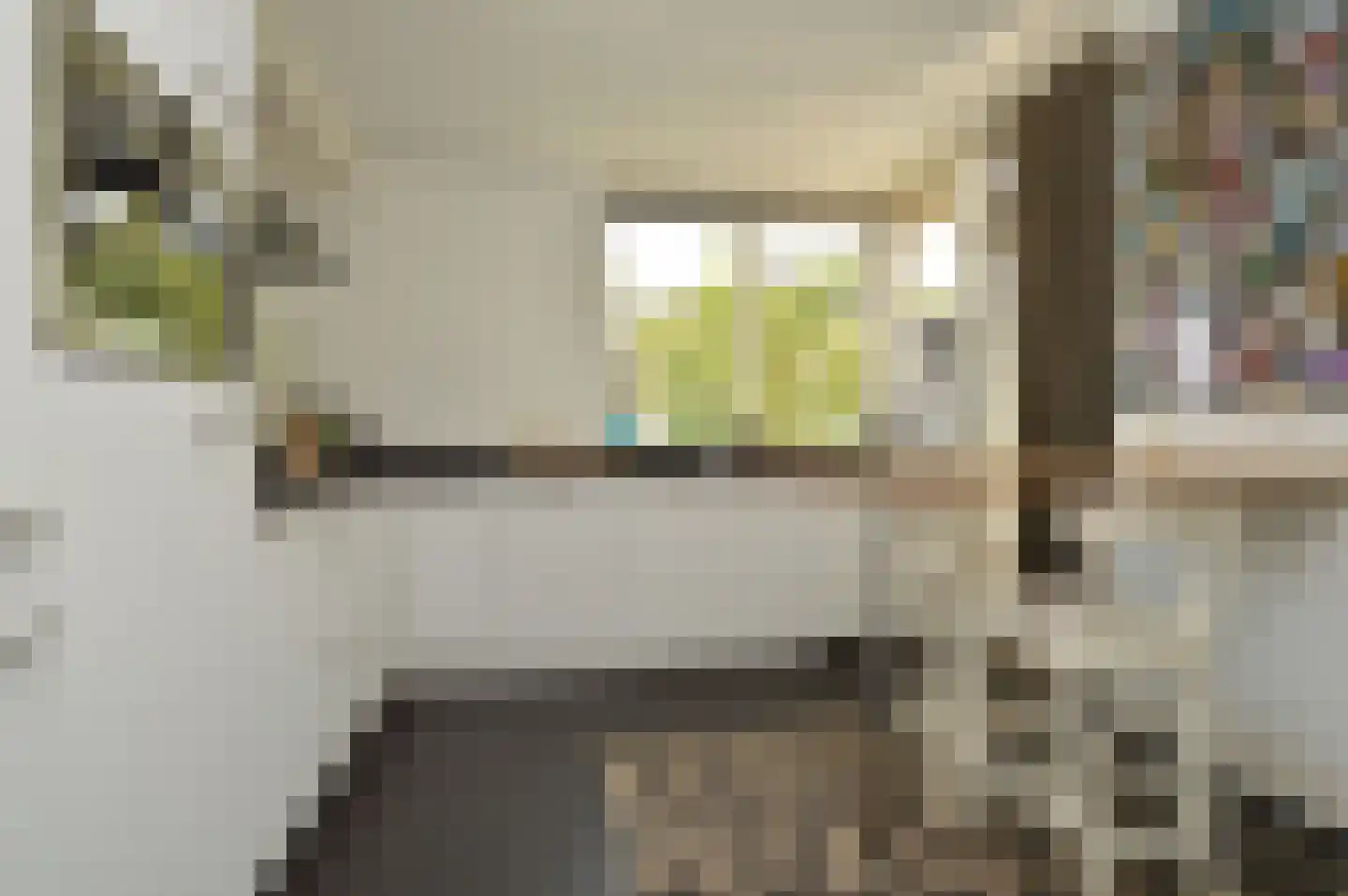 Paardebloem 4 Deurne thumbnail 8