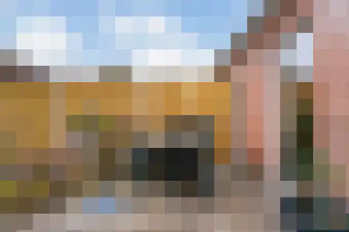 Paardebloem 66 Zwaag thumbnail 19