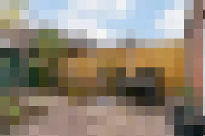 Paardebloem 66 Zwaag thumbnail 20