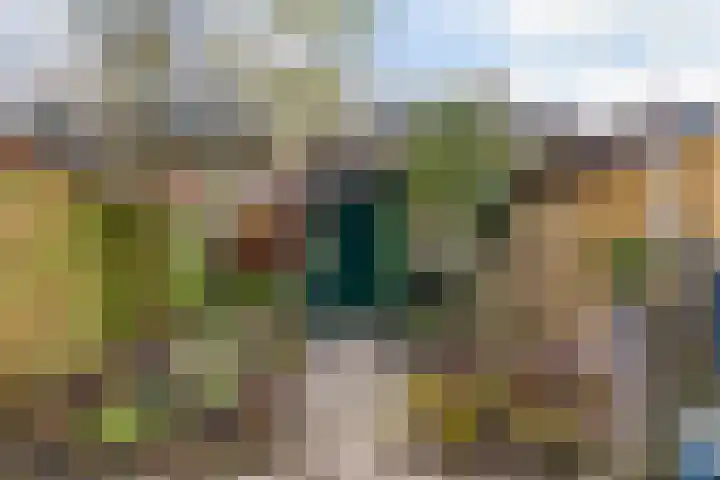 Paardebloem 66 Zwaag thumbnail 21